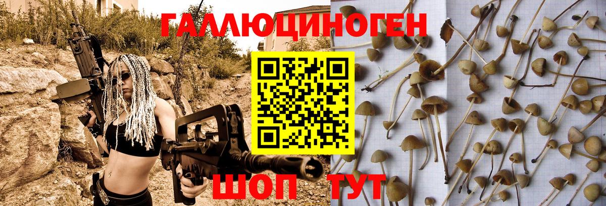 Псилоцибиновые грибы Psilocybine cubensis Соль-Илецк